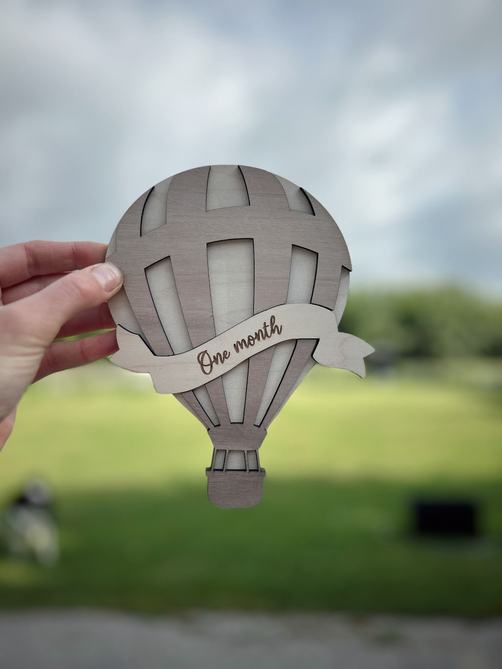 Hot Air Balloon Monthly Milestones